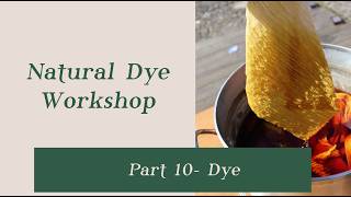 10 | NATURAL DYE WORKSHOP | Dyeing the fabric 🌿
