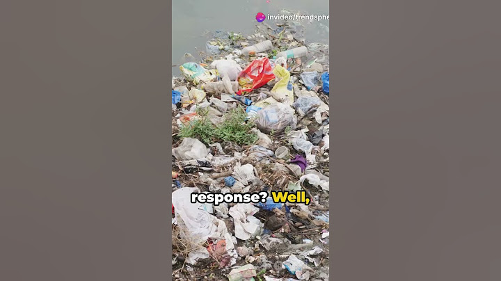 The Poop Protest: Paris' Seine River Controversy
