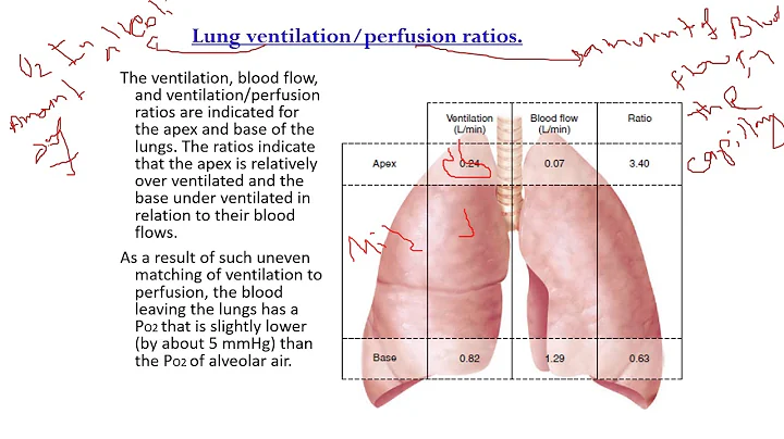 V/Q and Breathing regulation video