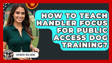 How To Teach Handler Focus For Public Access Dog Training? - Obedient Dog Guide