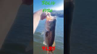 Bigguns at this unknown lake : Are you Catching them Slick Baits!!!!!!!!