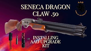 SENECA/SAM YANG DRAGON CLAW 50, 500 cc, installing AAO 2020 Power Tune kit