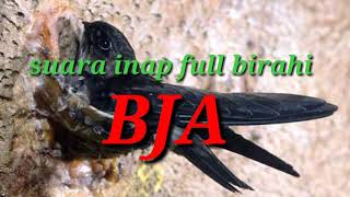 Suara inap BJA (download gratis)