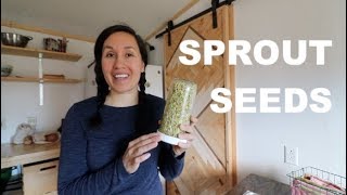 SPROUTED LENTILS from SEED to PLATE