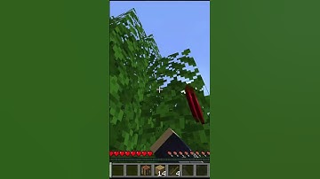 Minecraft but every time i take damage i get a random potion effect...