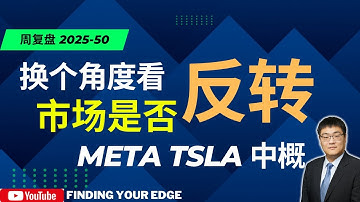 市场是否反转？AI 是泡沫伪命题？META、TSLA 与中国机会的多维解析