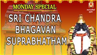 MONDAY SPL | THINGALUR | SRI CHANDRA BHAGAVAN SUPRABHATHAM GAYATHRI | CHANDRA PARIHAAR STHALAM