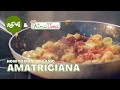 How to make Amatriciana (organic version) | Roscioli Rome