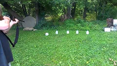 Taurus Circuit Judge shooting 5 different bullets