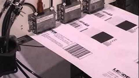 Squid Ink PZ  VDP - Variable Data Printing