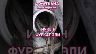 ФУРКАТ айылы ичкен суу ТУАЛЕТТИН агындысы