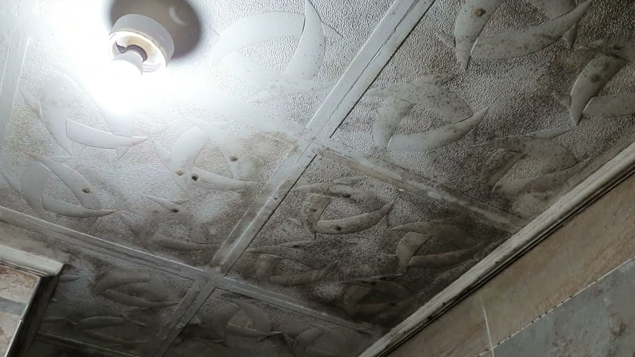 Banyo küfü nasıl temizlenir? YouTube Banyo küfü nasıl temizlenir? YouTube