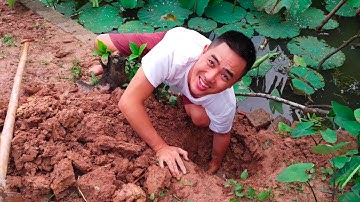 Bắt Cá Rô Lạch Trời Mưa - Làm Nhậy Cá Trên Đường