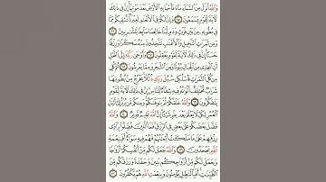 #الصفحة_مئتان_وأربع_وسبعون_من_القرآن_الكريم #سورة_النحل #اللهم_أوصلنا_بحبك_ورحمتك