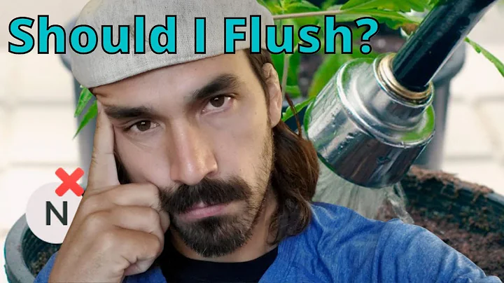Should I Flush My Plants