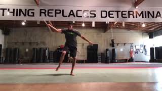 Wushu Sample (Mini)
