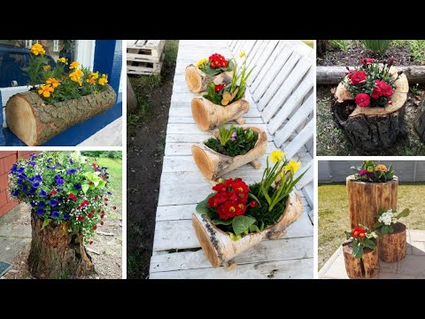 40 Ways to Turn Tree Trunks into Stunning Garden Highlights