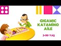 Gigamic Katamino Aile: İçinde Neler Var?
