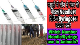 पशुओं में कौन से नंबर की नीडल(Needle)व सिरिंज (Syringe) उपयोग में लेनी चाहिए?Which number needle
