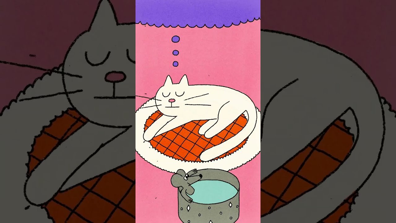 Snooze flash 🐈 🐭 🏝️