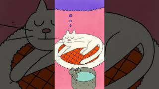 Snooze Flash 🐈 🐭 🏝️