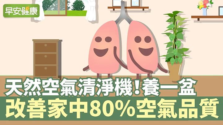 天然空氣清淨機！養一盆改善家中80％空氣品質【早安健康】 - 天天要聞