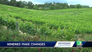 Some norcal wineries preparing to reopen as restrictions are eased