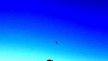 Trex 550 dfc first inverted backwards