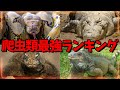 対決!!世界最強爬虫類ランキング