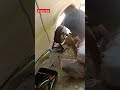 brake service #YouTube #viral #short