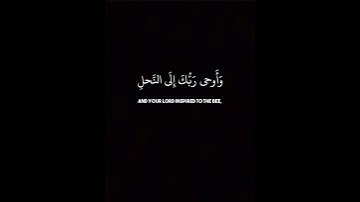 يخرج من بطونها شراب مختلف ألوانه~تلاوة إبداعية بصوت الشيخ ياسر الدوسري-كروما قرآن شاشة سوداء