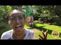 Disney Sing-Along: Justine Skye - Colors of the Wind - From Pocahontas