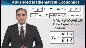 A Market Model with Price Expectations: Solution