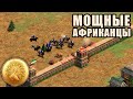 ЧЁТКАЯ МАКРО ИГРА НА АРЕНКЕ | Командная игра с Винчом в Age of Empires 2