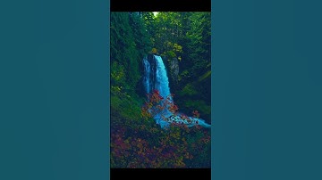 الشيخ الجهني تلاوة ومقطع من سورة السجدة