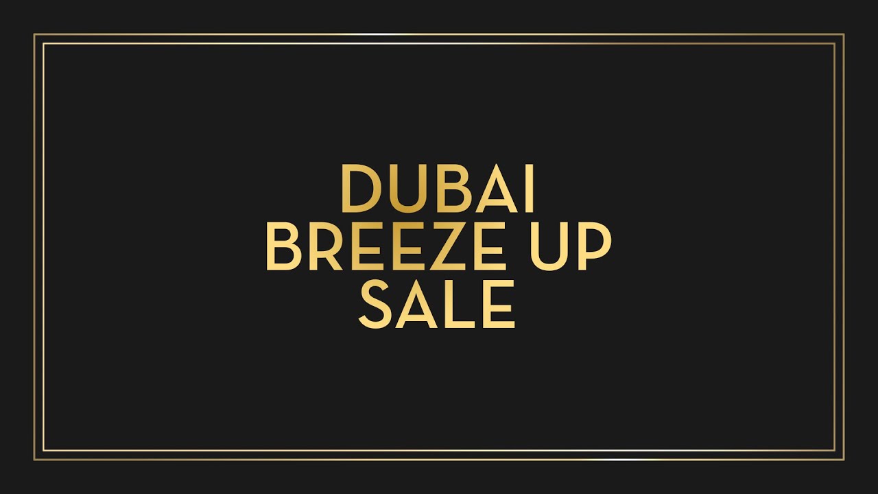 Goffs Dubai Breeze Up Sale 2023 YouTube