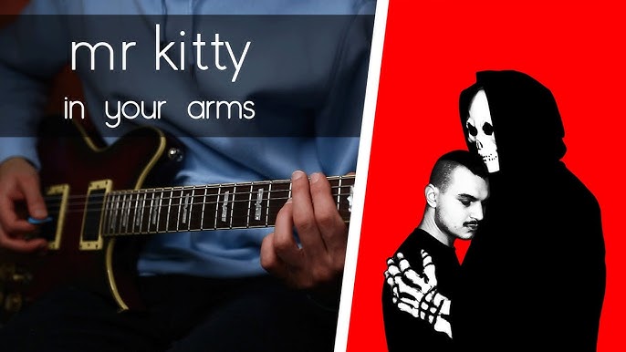 Mr.Kitty - After Dark ( @dontwakemeupme & @27MOTS guitar cover