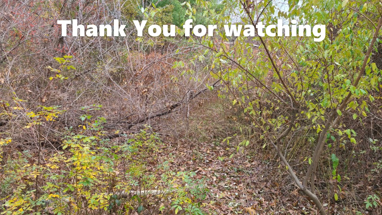 Cupola at Haselton Farm Barn (updated) YouTube