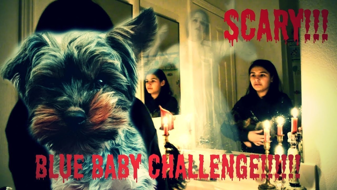 BABY BLUE Challenge with PUPPY!!! YouTube