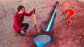 This INSPECTION Decides The Fate Of Our OffGrid Cabin Build | DIY Septic System Completion