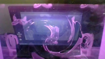 rrequested max and ruby themesong in g major by ltv mca