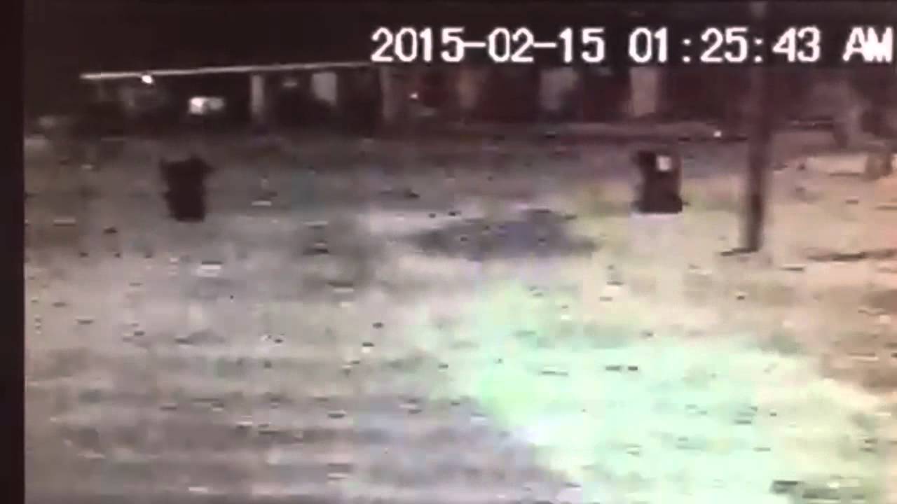 Firebombing Suspect Sought In Mobile