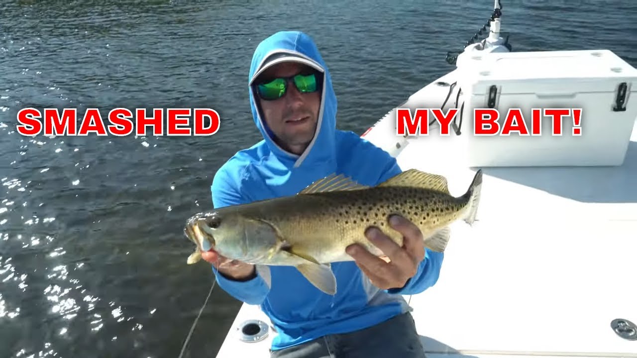 Oyster Bed Fishing for Big Speckled Trout in Tampa Bay YouTube