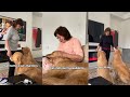 Golden Retrievers Nan Comes From England To Look After Them