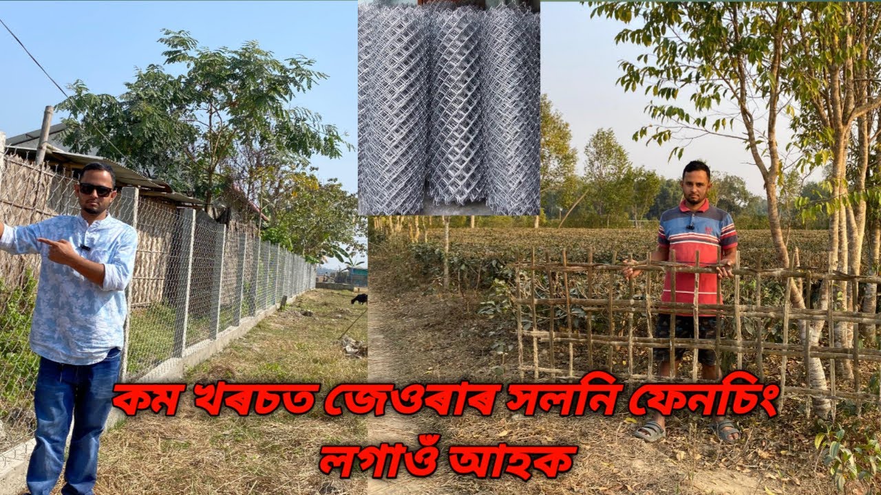প্ৰতি বছৰে এইটো সমস্যাই বাৰুকৈয়ে জুৰুলা কৰি আহিছে|Fencing Wall |Fencing Wall Assam 