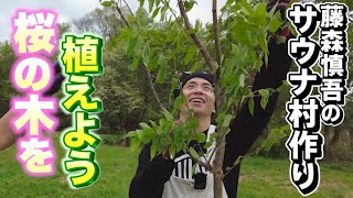 藤森慎吾のサウナ村作り！自分の森に桜の木を植えました！