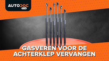 Hoe u de gasveren voor de achterklep kunt vervangen [HANDLEIDING AUTODOC]