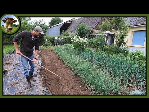 Vidéo: Où dois-je planter mes panais : un guide pour le traitement du sol de panais