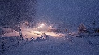 Howling Wind Ambience for Nights | Escaping Insomnia with Sounds Snowstorm  Intense Blizzard