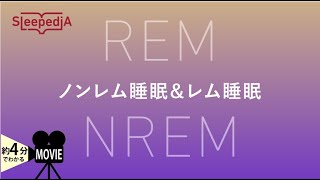 「ノンレム睡眠」と「レム睡眠」とは？意外と知らない眠りの種類